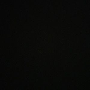 Meet your Posher, Maia